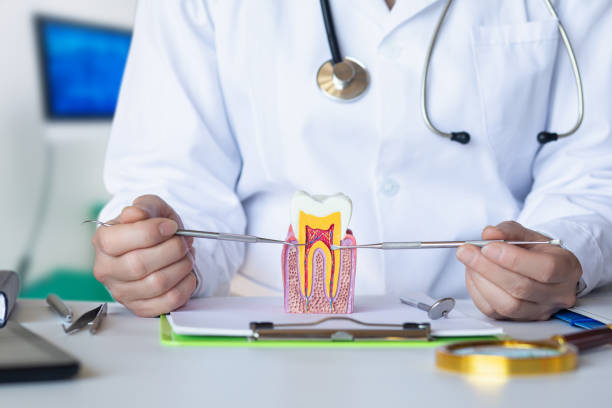 Best Emergency Treatment for Oral Infections in Key Center, WA